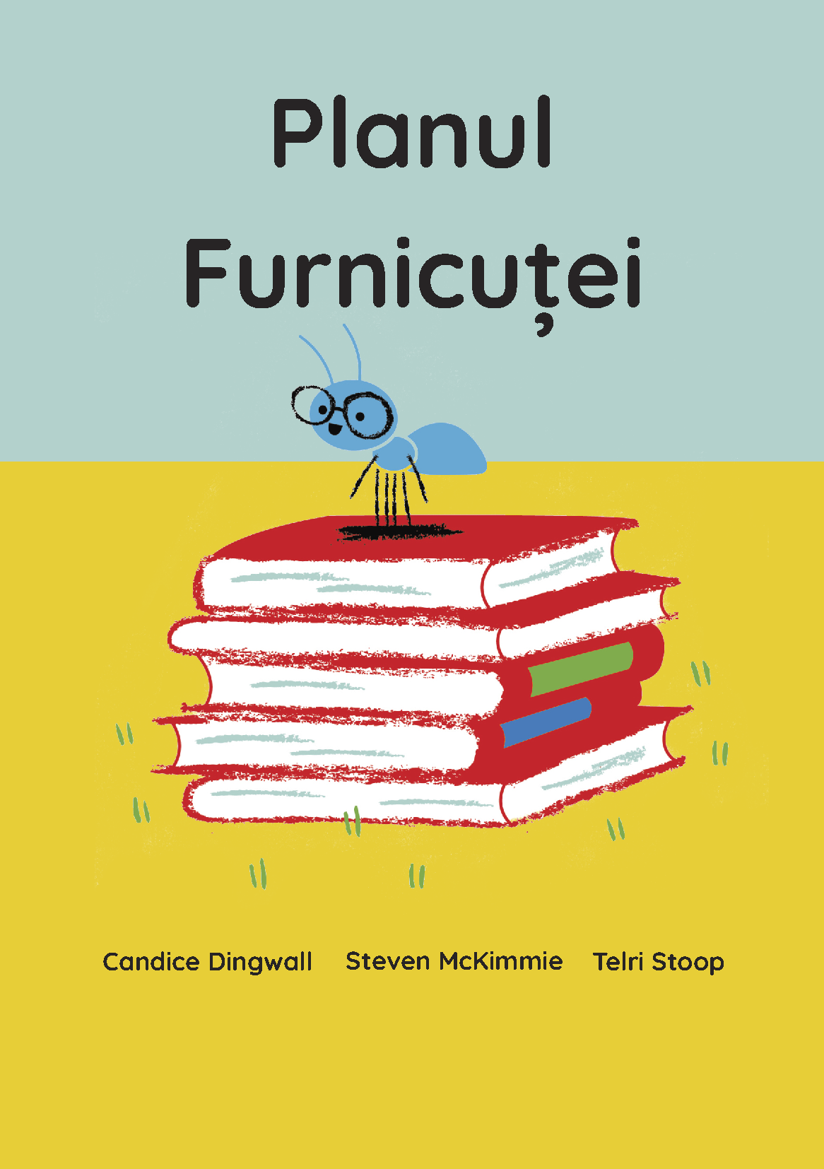 coperta_PLANUL FURNICUTEI